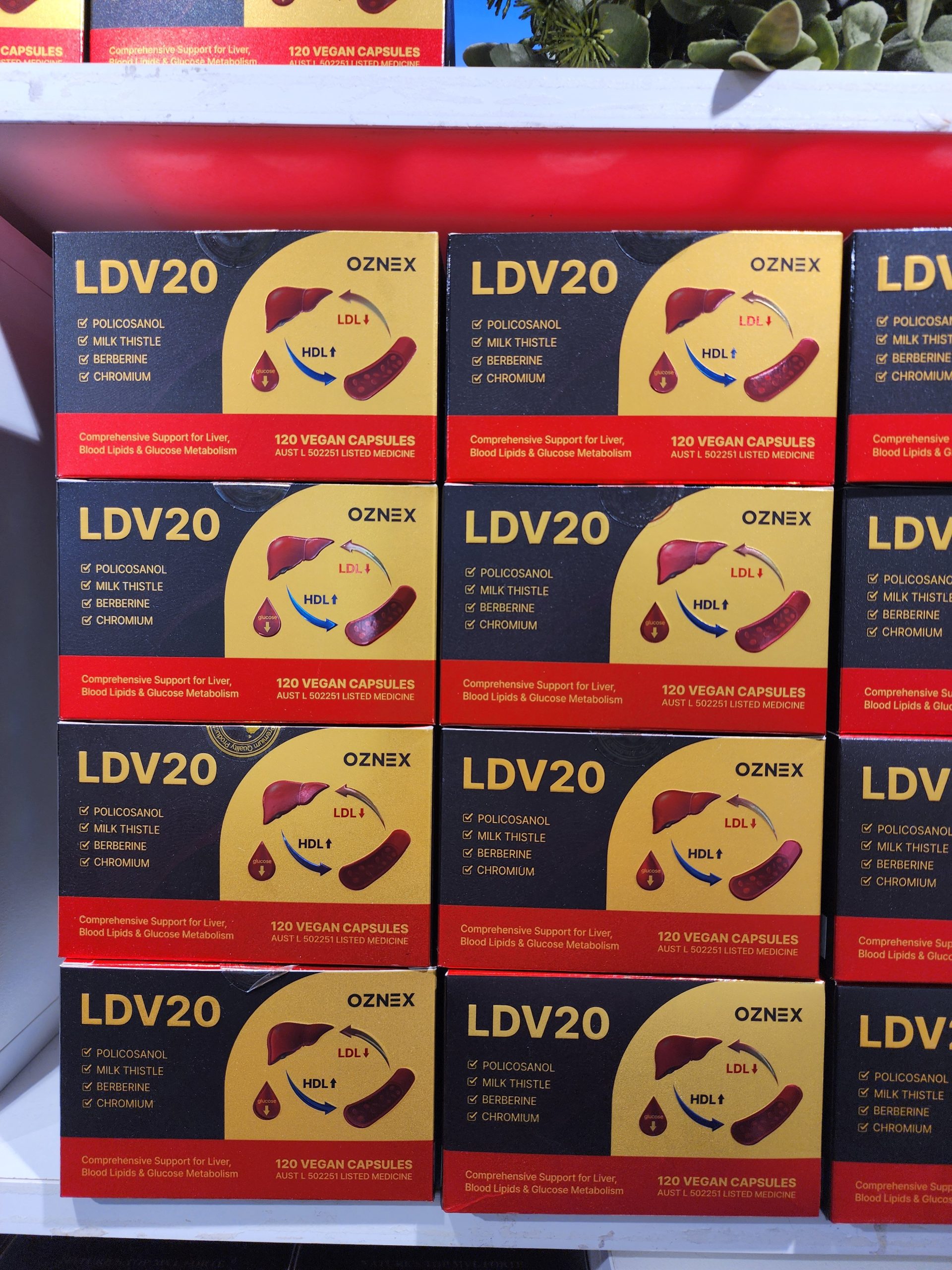 호주 TGA 인증 제품