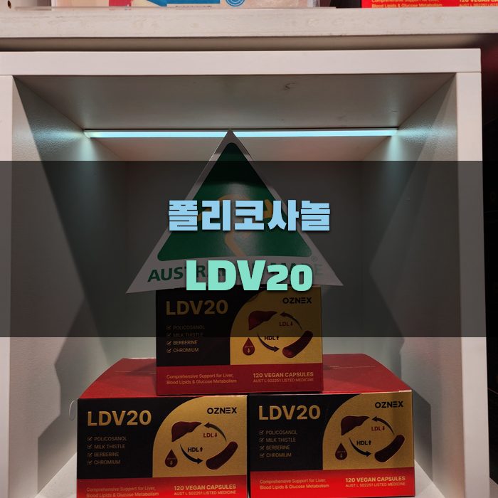 폴리코사놀 LDV20의 효능과 사용법