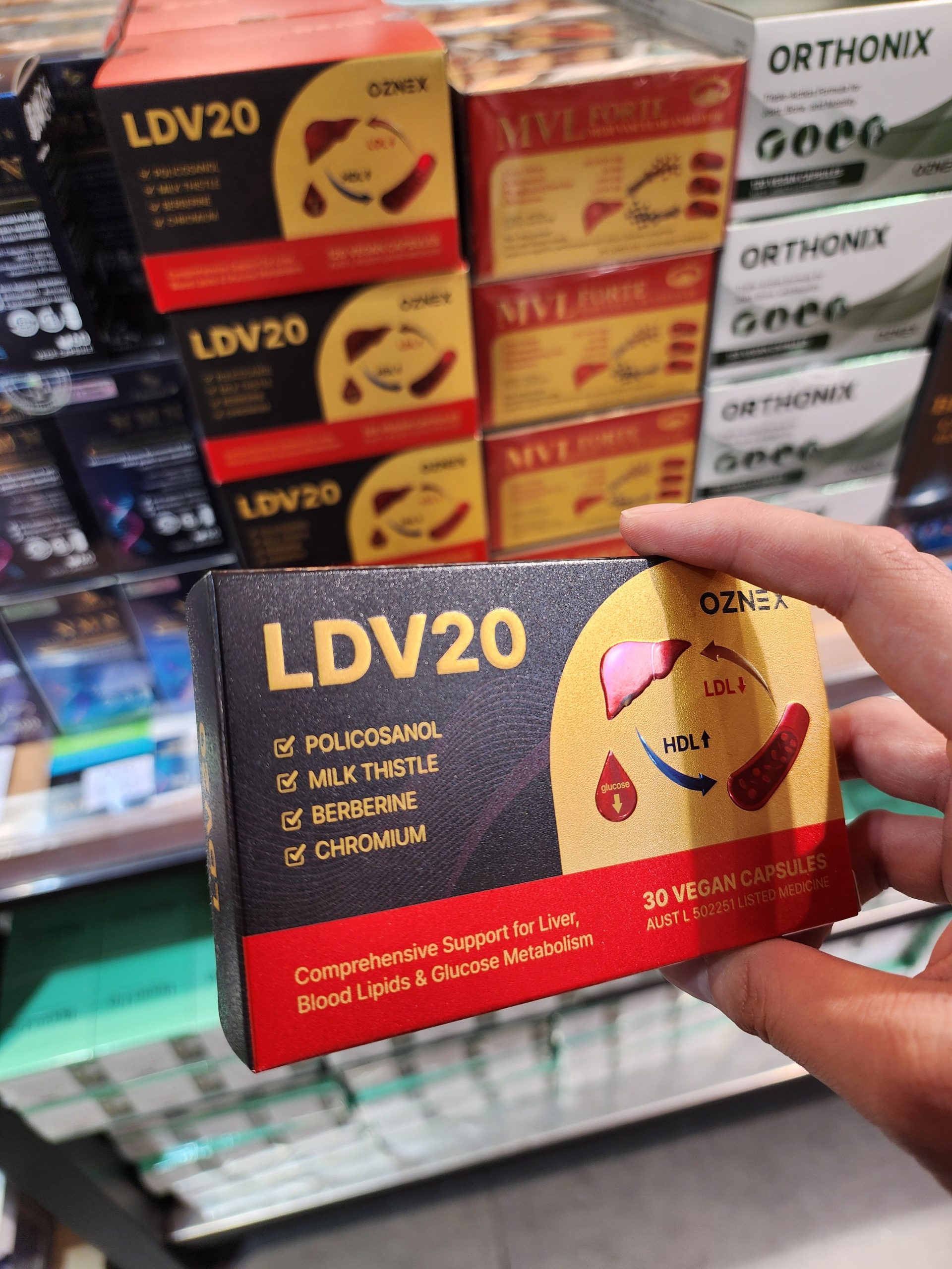 LDV20 부모님 선물