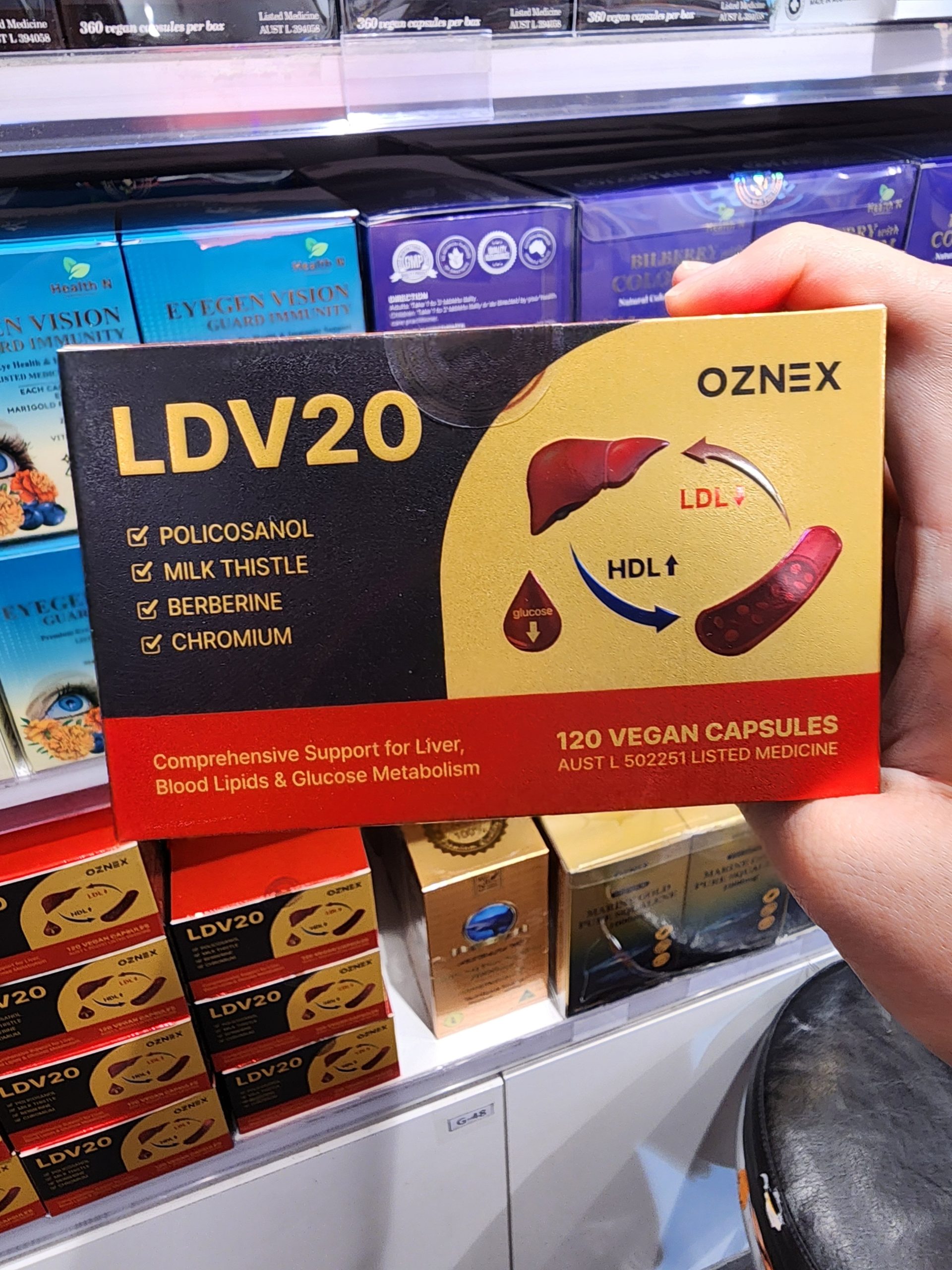 LDV20 부모님 선물